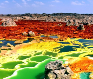 Hottest year of Earth