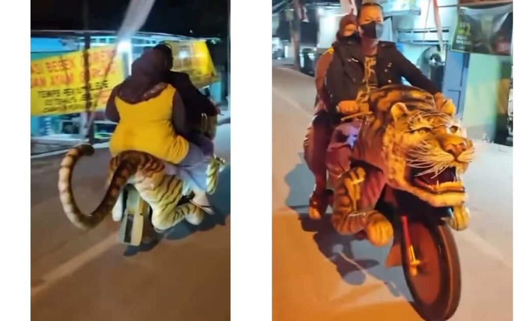 रात के अंधेरे में बाघ की सवारी करते कपल को देख लोगों के उड़े होश, सामने आई सच्चाई तो हंसी नहीं रोक पाए लोग