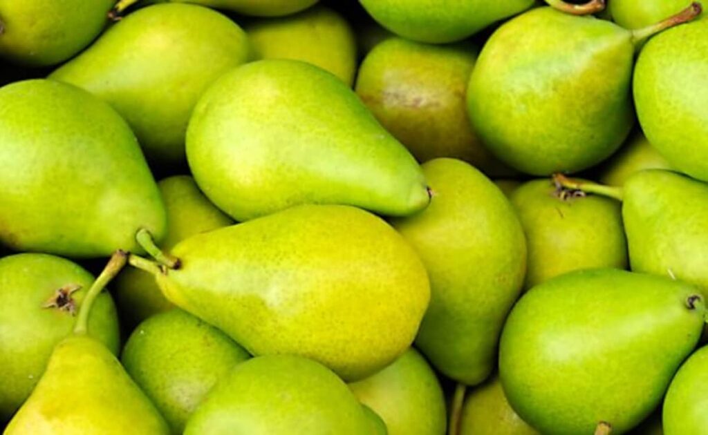 इस फल को जरूर खाएं ये 6 लोग, आस पास भी नहीं फटकेंगी ये बीमारियां