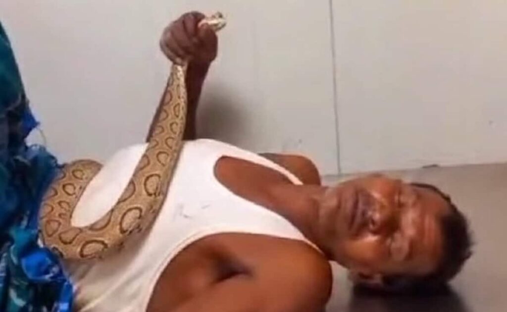 Video : ओ भाई! सांप ने डंसा तो उसका मुंह पकड़े पकड़े पहुंच गया अस्पताल, स्ट्रेचर पर लेटकर भी नहीं छोड़ा