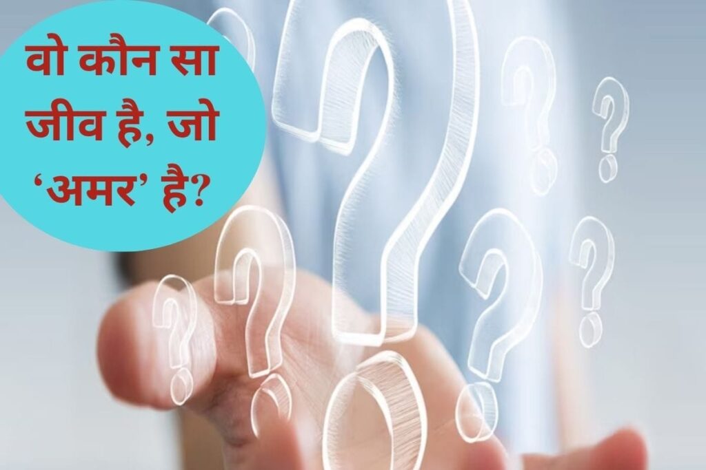 क्या जानते हैं दुनिया का एकमात्र अमर प्राणी कौन सा है? यह मौत से कैसे बचता है?