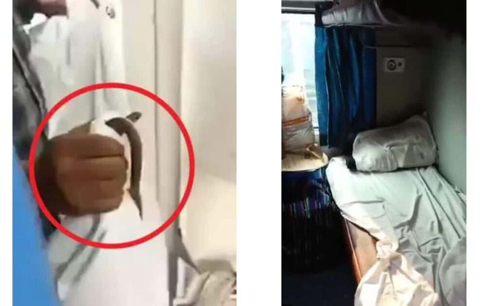 ट्रेन के Ac कोच में फन फैलाए बैठा था सांप, देख यात्रियों की निकल गई चीखें, धड़ल्ले से वायरल हो रहा Video