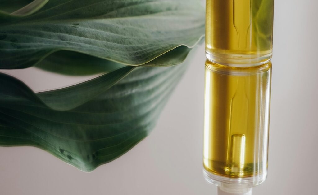 Mustard Oil Massage Benefits: रोजाना सरसों के तेल से तलवों की मालिश करें, मिलेंगे सेहत को गजब के फायदे