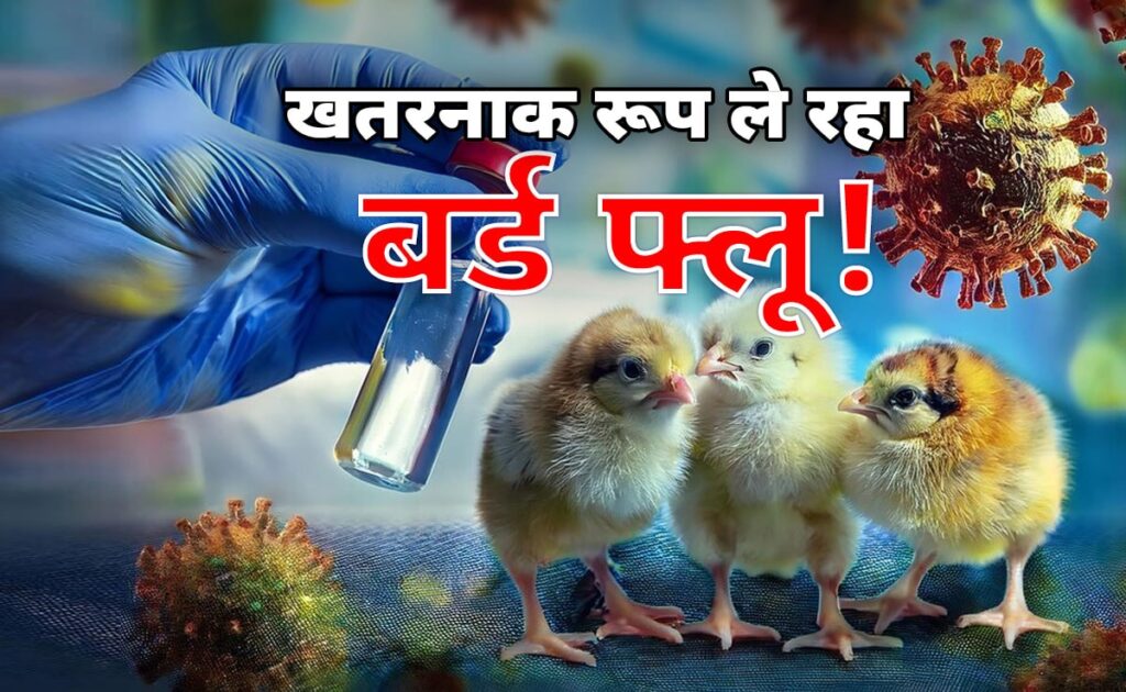 अमेरिका में बर्ड फ्लू के वायरस में म्यूटेशन, 2025 में बड़े खतरे की आहट? यहां समझें