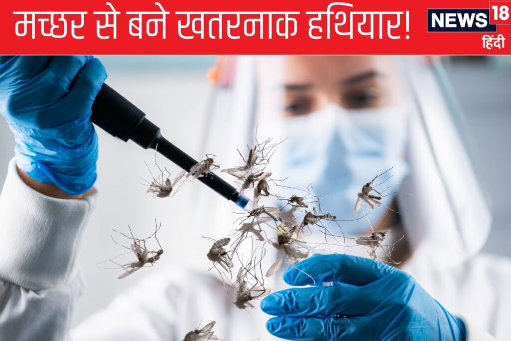 मच्छरों से कौन सा हथियार बना रहा था यूक्रेन, जिससे खौफ में थे पुतिन?