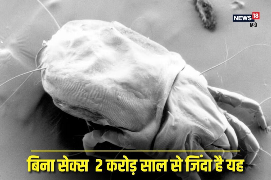 बिना सेक्स के 2 करोड़ साल से जिंदा है यह, फिर भी बढ़ा रहा आबादी