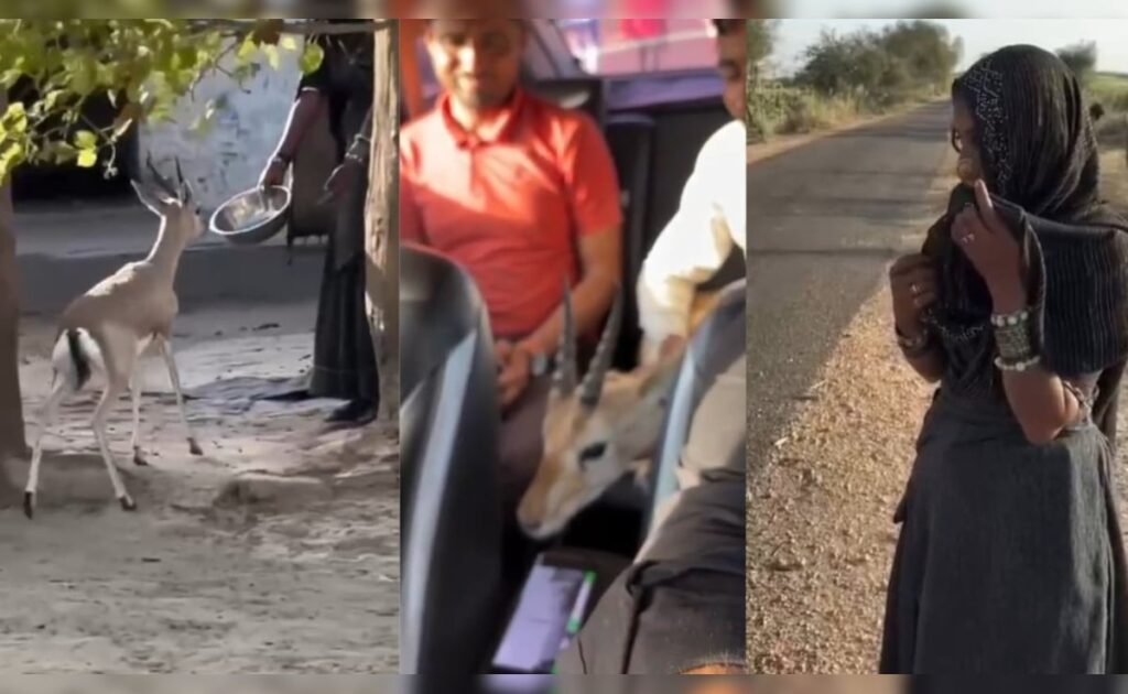 बीकानेर में एक मां से जब 'बेटा' सद्दाम विदा हुआ तो भर आई आंखें, ये अनोखी कहानी आपको भावुक कर देगी
