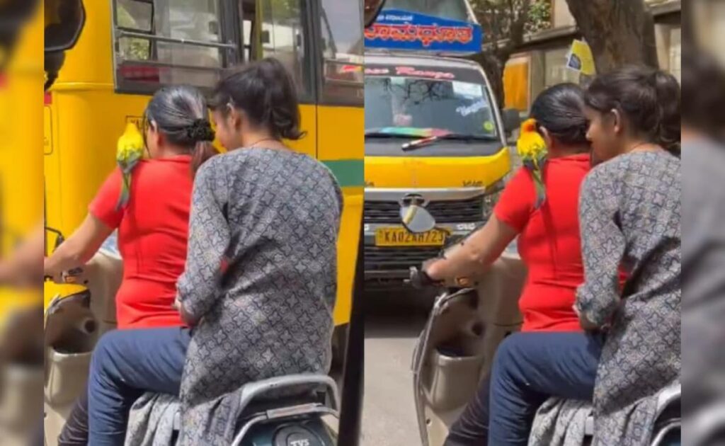 Omg:सिर पर हेलमेट की बजाए कंधे पर तोता बैठाकर दौड़ाई स्कूटी, देख लोग बोले पापा की परी का चालान काटो